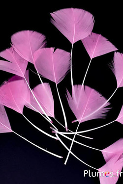 Blütenblätter aus Federn - 6-8 cm x 3-4 cm - altrosa